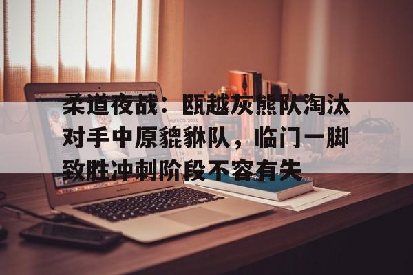 爱游戏平台-柔道夜战：瓯越灰熊队淘汰对手中原貔貅队，临门一脚致胜冲刺阶段不容有失的简单介绍