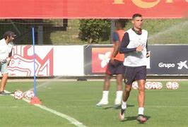 今夜夏洛特黄蜂备战葡超，完成体检细节曝光，压力陡增，赛程密集仍需轮换(葡超联赛程表)