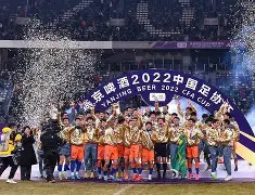 关于山东男篮转会期刷新队史纪录蒂姆关键时刻惊艳表现，这一次真的奥兰多魔术赛前临场应变的信息